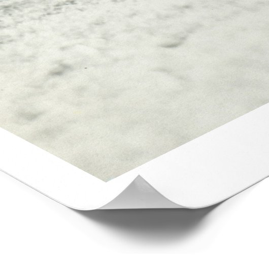 Poster Garlene Tindall debout sur un cheval de ruse. (Coin)