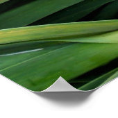 Poster Garlic vert (Coin)