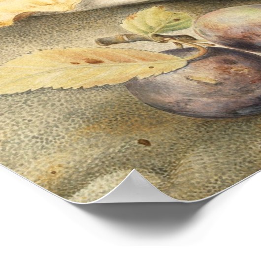 Poster Garzoni - Vie Encore Vie Avec Fleurs Citrouilles E (Coin)