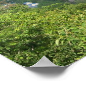 POSTER GATLINBURG, TENNESSEE (Coin)