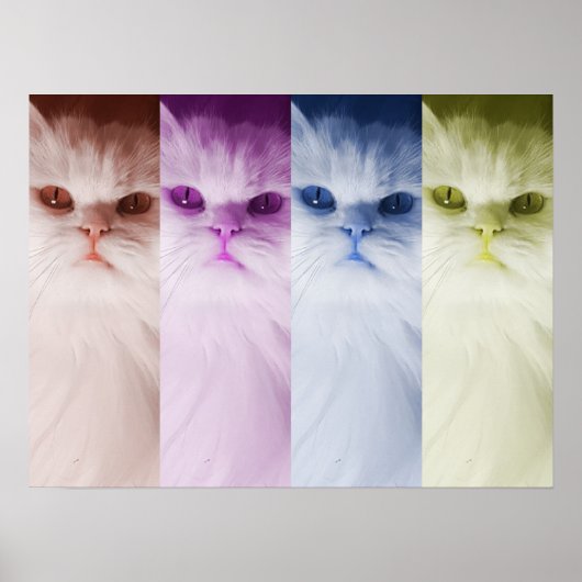 Póster gato de colores poster (Voorkant)