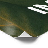 Poster Gatos Não Pagam Impostos (Coin)