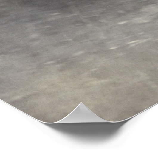 Poster Gaucho (Coin)