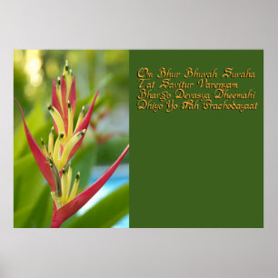 Poster Gayatri mantra