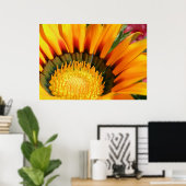 Poster Gazania (Bureau à domicile)