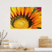 Poster Gazania (Cuisine)