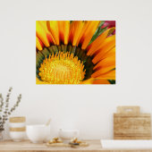 Poster Gazania (Cuisine)