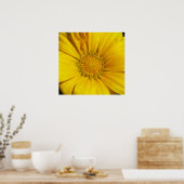 Poster Gazania (Cuisine)