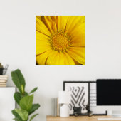 Poster Gazania (Bureau à domicile)