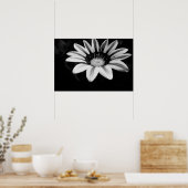 Poster Gazania (Cuisine)