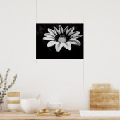 Poster Gazania (Cuisine)