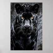 Poster Gaze of the Shadow (Devant)