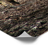 Poster gazelle (Coin)