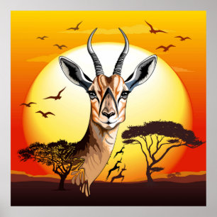 Poster Gazelle Antelope africaine animal sauvage