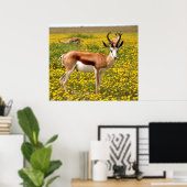 Poster Gazelle dans le pré (Bureau à domicile)