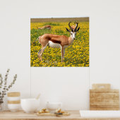 Poster Gazelle dans le pré (Cuisine)
