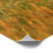 Poster Gazelle de Thomson (Coin)