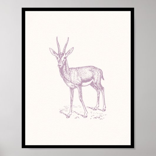 Poster Gazelle Deer (Devant)
