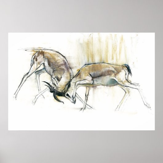 Poster Gazelles de sable 2009 (Devant)