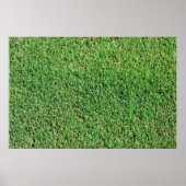Poster Gazon vibrant et vert (Devant)