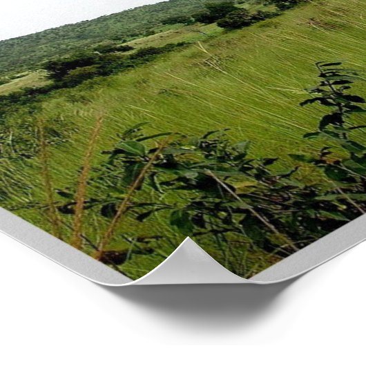 Poster Gbomblora - Savannah - (Coin)