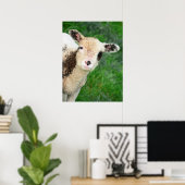 Poster G'day ! (Bureau à domicile)