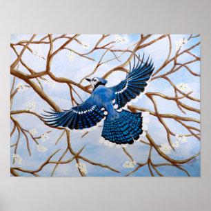 Poster Geai bleu montant