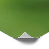 Poster Geai de Steller 1 (Coin)