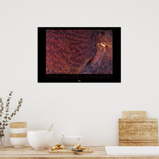 Poster géant de poulpe du Pacifique (Cuisine)