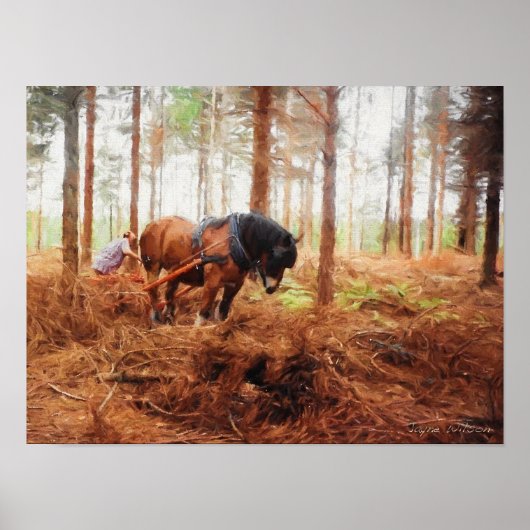 Poster Géant doux - Cheval à l'oeuvre dans la forêt (Devant)