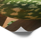 Poster Géant Gancy Gourds Automne Miroir Abstrait (Coin)