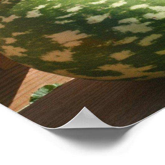 Poster Géant Gancy Gourds Automne Miroir Abstrait (Coin)