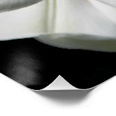 Poster Géant Himalaya Lily Photo Glossy (Coin)