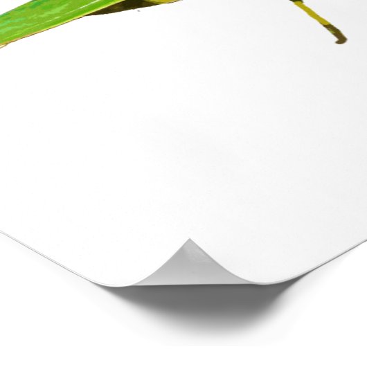 Poster géant vert de prière Mantis (Coin)