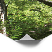 Poster "Géants", Muir Woods (Coin)