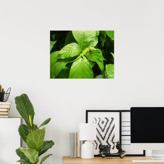 Poster Gecko (Bureau à domicile)