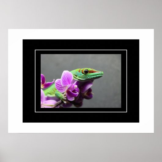Poster Gecko (Voorkant)