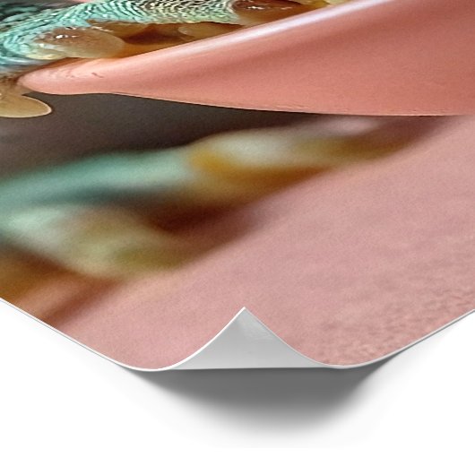 Poster Gecko Drôle Manger Spaghetti (Coin)