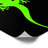 Poster Gecko grimpeur vert funky (Coin)