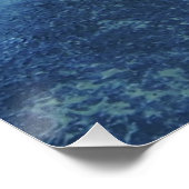 Poster Gecko hawaïen (Coin)