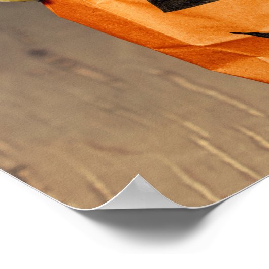 Poster Gecko Skeleton (Coin)