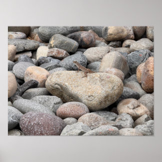 Poster Gecko sur les rochers s'il vous plaît