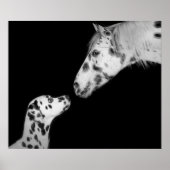 Poster gedateerd (Voorkant)