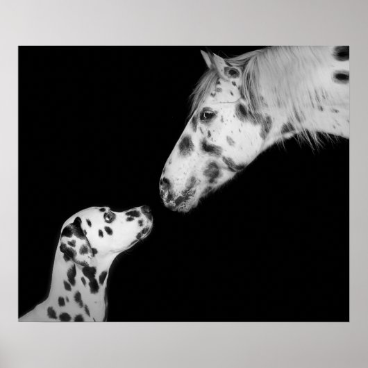 Poster gedateerd (Voorkant)