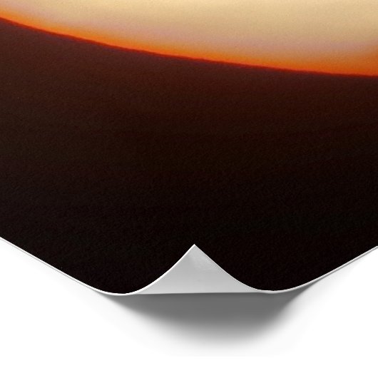 Poster GEESE en vol (Coin)