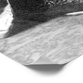 Poster Geisha Girls, début du XXe siècle (Coin)