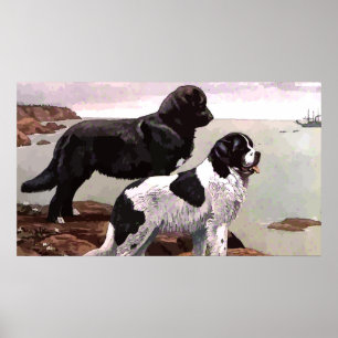 Poster gekleurd Newfoundland