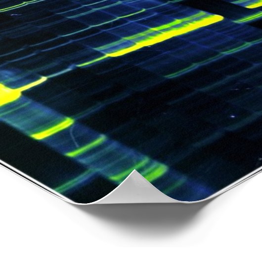 Poster Gel de séquence d'ADN 1 (Coin)