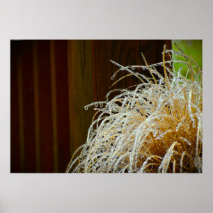 Poster Gel hivernal,