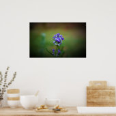 Poster Gel hivernal, (Cuisine)